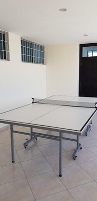 Ping Pong Anyone