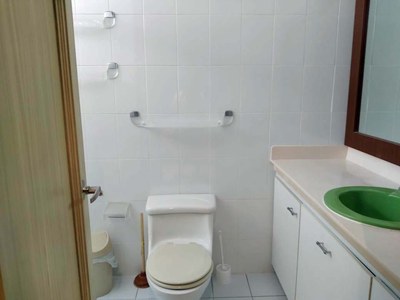 Second Bedroom Toilet and Vanity