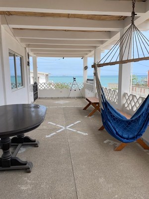hammock area for guests