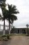 Ballenita House with Big Palm Trees 001 (533x800).jpg