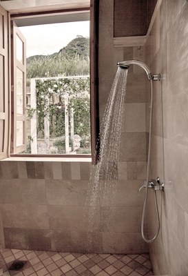 Master Bathroom Shower and View.jpg