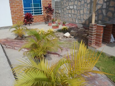   Yard And Garden Area