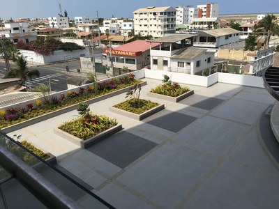 Garden Area View