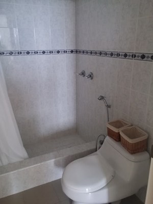  Master Bathroom Shower 