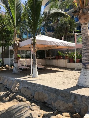  Palm Trees And Social Area 