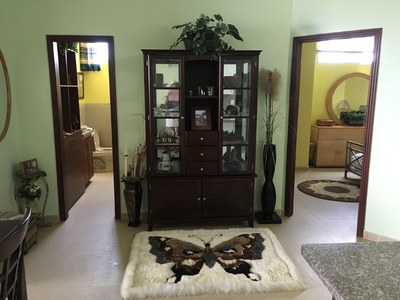  Gorgeous Hutch And Butterfly Rug 