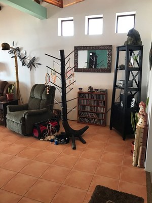   Spacious Living Room 