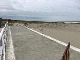 Walkway To The Beach