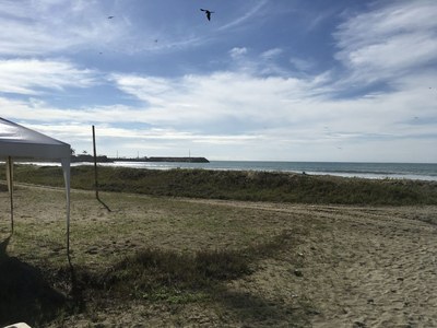  View Of The Beach. 