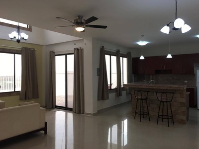open kitchen and living room.jpg