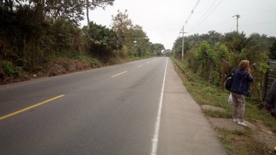 Paved Access Road