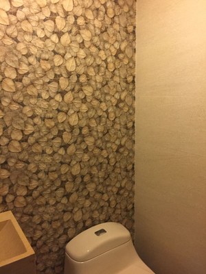 Guest Bathroom Stone Wall