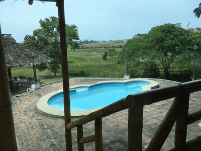   Pool View From The Den 