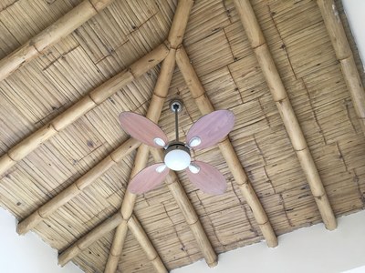   Cool Bamboo Ceilings 