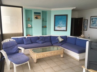Living Room With Large Sofa