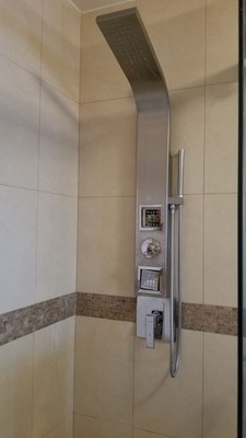 Master Bathroom Shower Tower With Rain Shower.