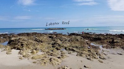 Lobster Reef.