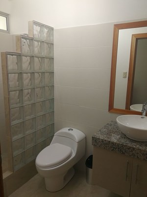  Tiled Wall Shower In Bathroom. 