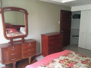   Fourth Bedroom Dresser And Chest Of Drawers 