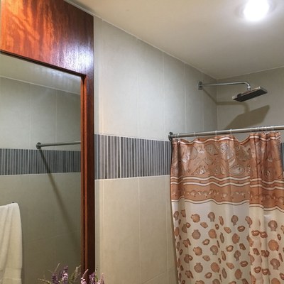 Bathroom Shower Head
