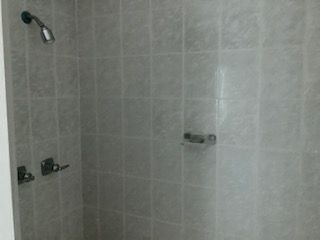  Master Bathroom Shower 
