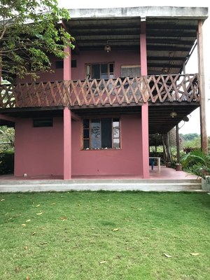   View Of House 
