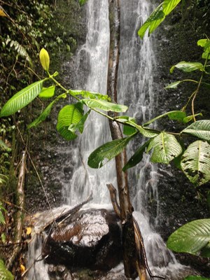 Mindo property waterfall