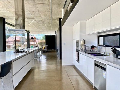 Ultramodern House kitchen 2.jpeg