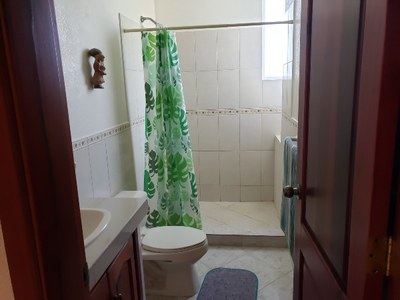 Guest bath with walk-in shower