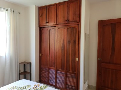 Hardwood closets and doors throughout