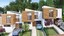 Casa tipo B - Casas de lujo en venta - La mejor combinacion entre lo moderno con lo natural - vive en el Valle de Tumbaco