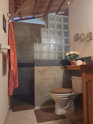 Full bathroom glass block feature
