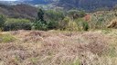 Plot for sale in Malacatos