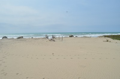 Exquisite Beachfront Property in Crucita