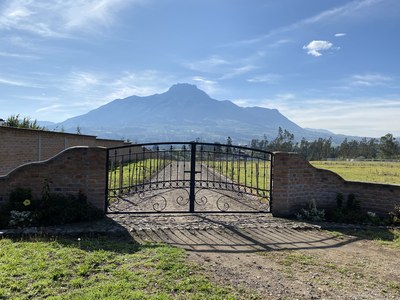 Gate to the premises with views