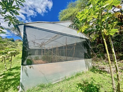 Greenhouse 3.jpeg