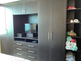  Rich Dark Wood Built-In Closets And Television