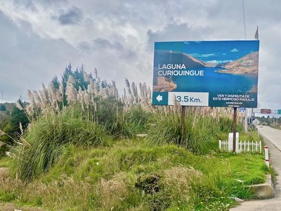 Laguna Sign.jpeg