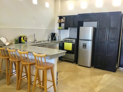 Modern open-concept kitchen ~ Casa Buena Vista Beach House