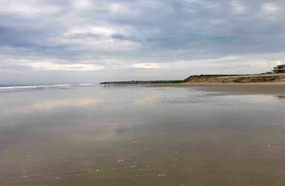 beach-low-tide.jpg